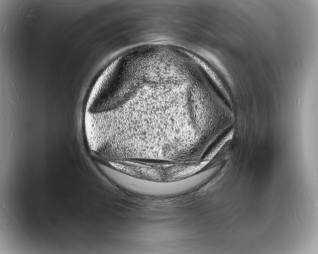 X0000088031424200706081452