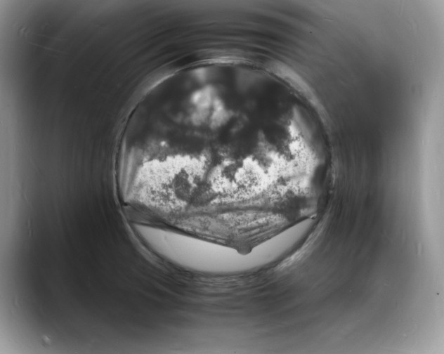 X0000088031425200706081452