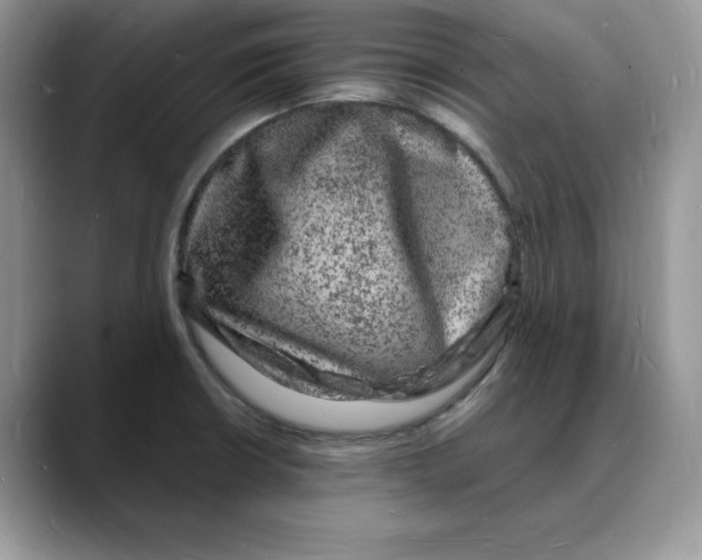 X0000088031426200706081452