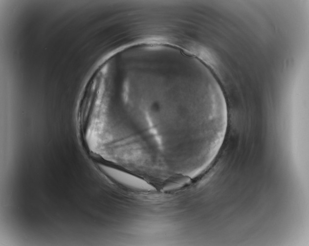 X0000088031428200706081452