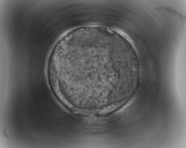 X0000088031429200706081452