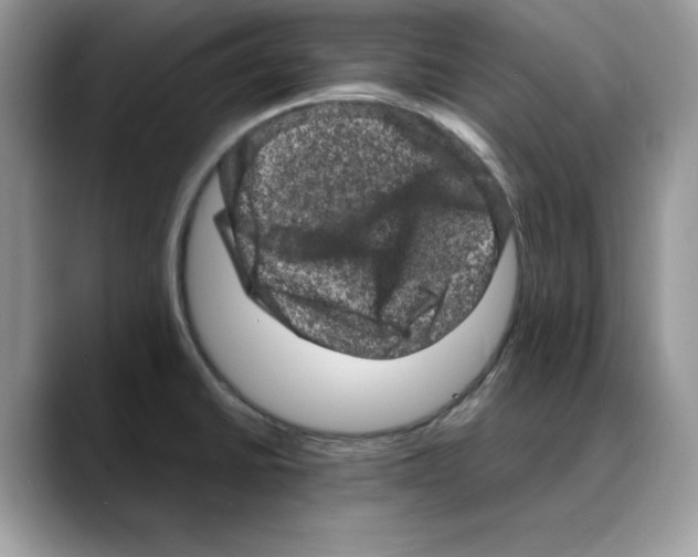 X0000088031430200706081452