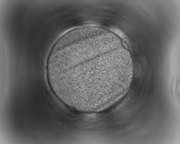 X0000088031431200706081452