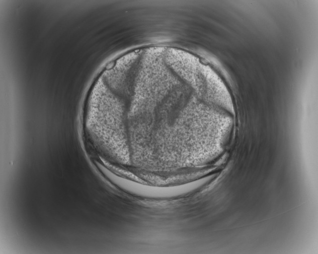 X0000088031432200706081452