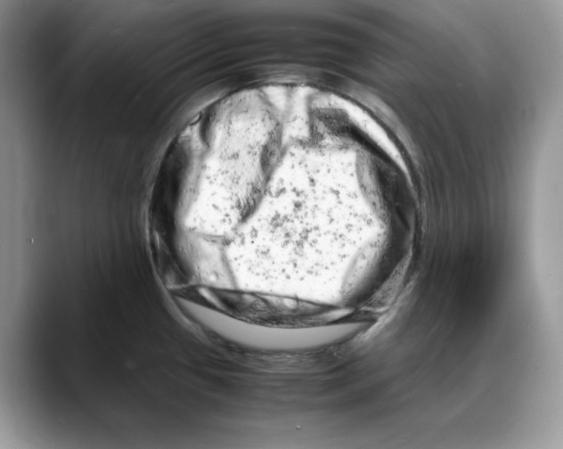 X0000088031433200706081452