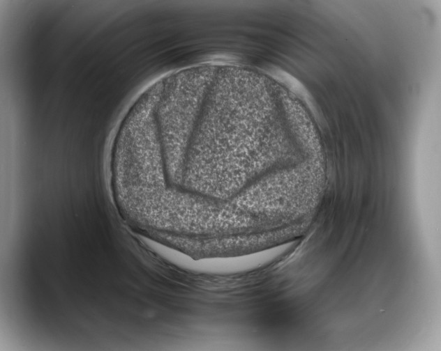 X0000088031435200706081452