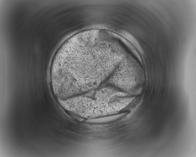 X0000088031436200706081452