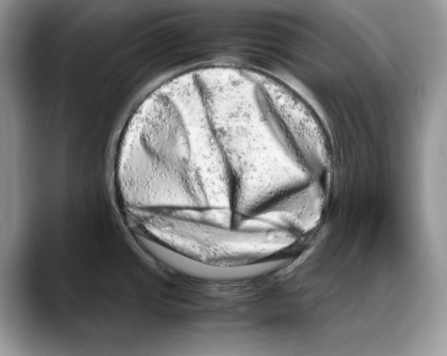 X0000088031437200706081452