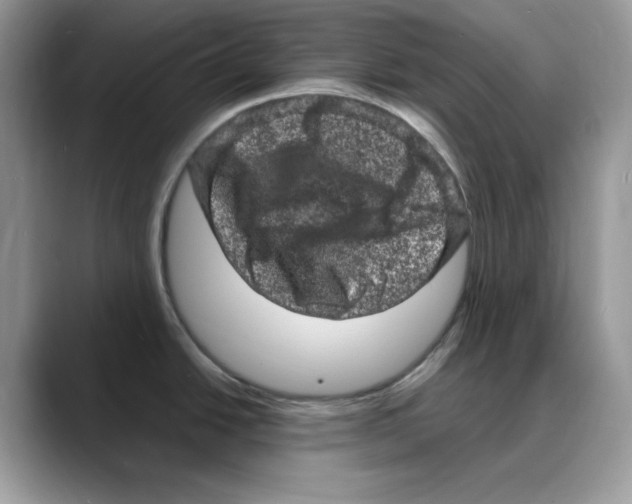 X0000088031438200706081452