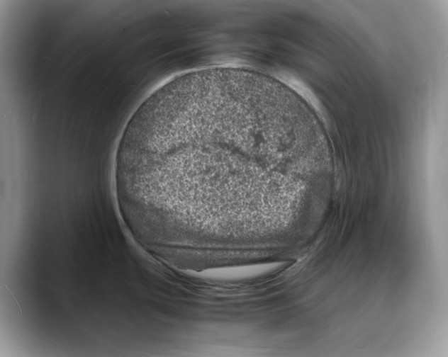 X0000088031439200706081452