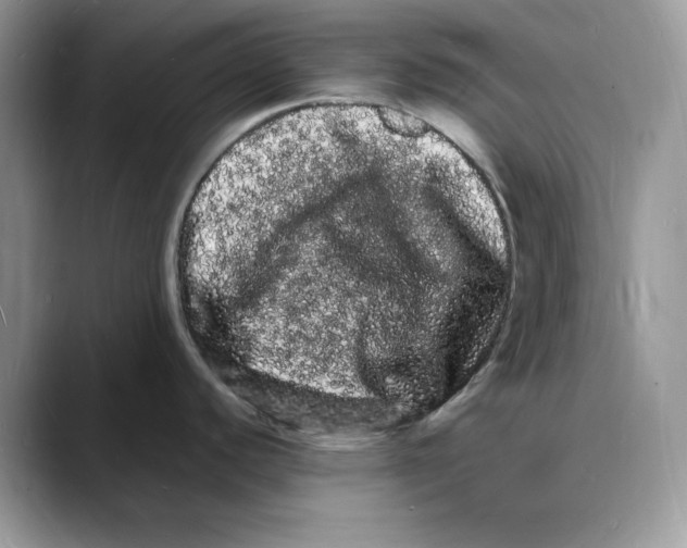 X0000088031440200706081452