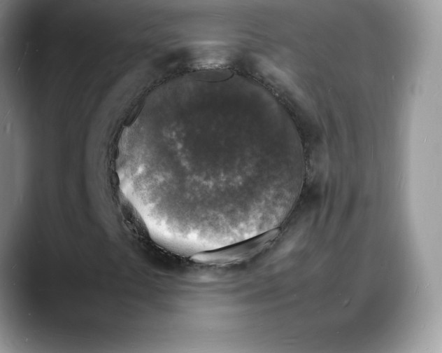 X0000088031441200706081452