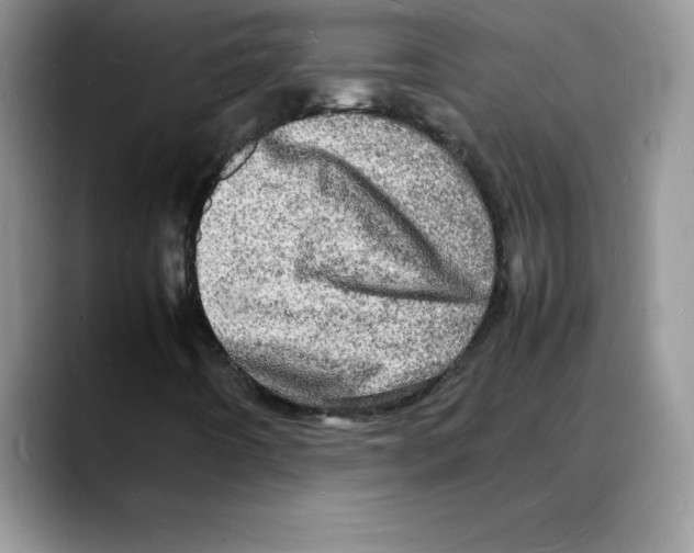 X0000088031442200706081452