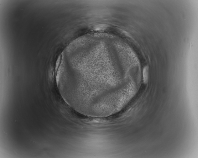 X0000088031443200706081452