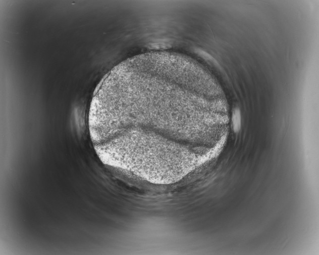 X0000088031444200706081452