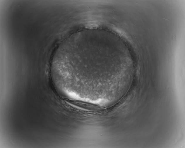 X0000088031445200706081452