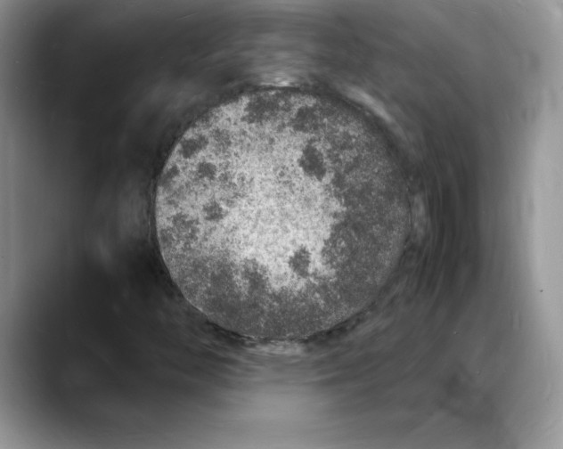 X0000088031446200706081452