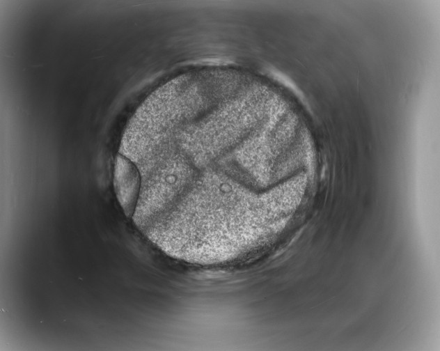 X0000088031448200706081452