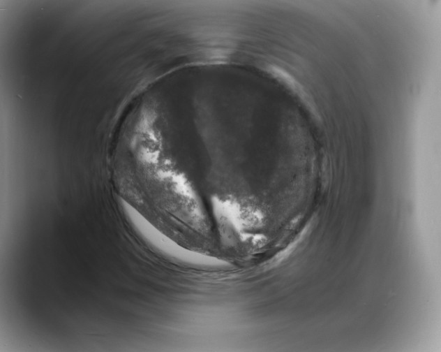 X0000088031449200706081452