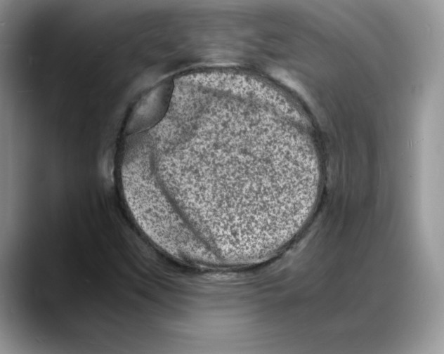 X0000088031451200706081452