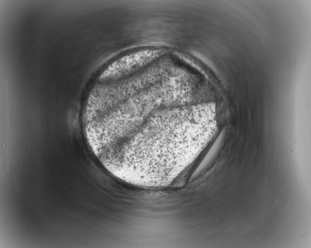 X0000088031452200706081452