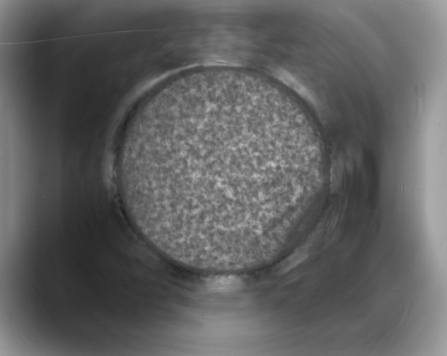 X0000088031454200706081452