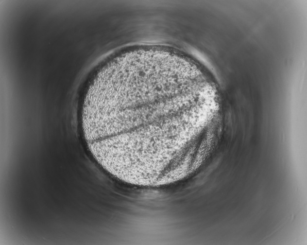 X0000088031456200706081452