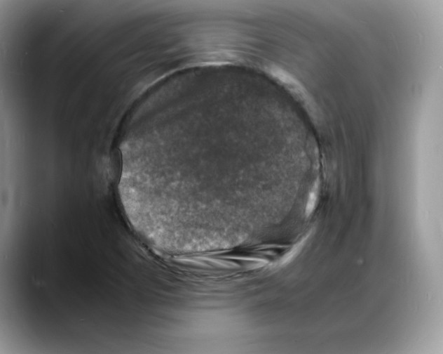 X0000088031457200706081452