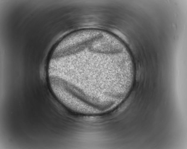 X0000088031458200706081452