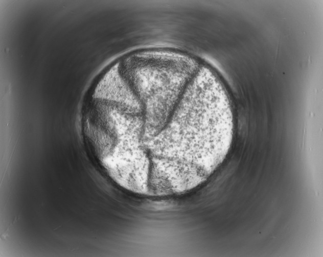 X0000088031460200706081452