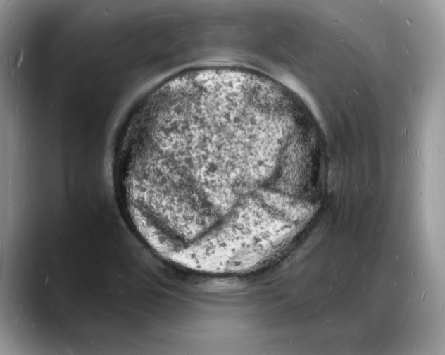 X0000088031464200706081451