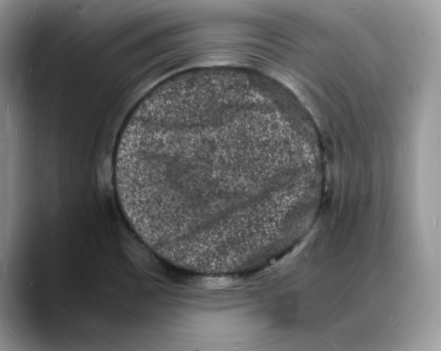 X0000088031465200706081451