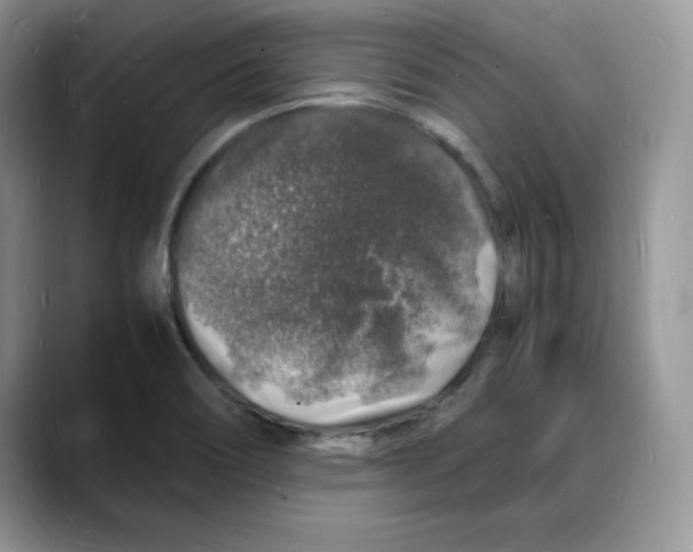 X0000088031466200706081451