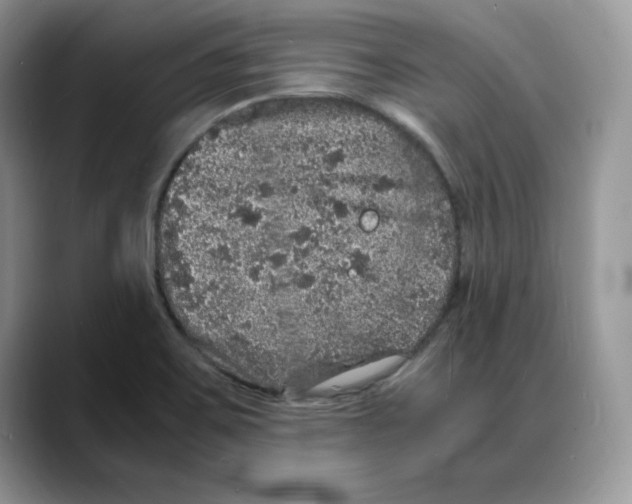 X0000088031467200706081451