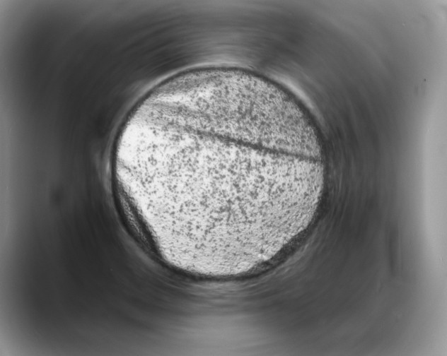 X0000088031468200706081451