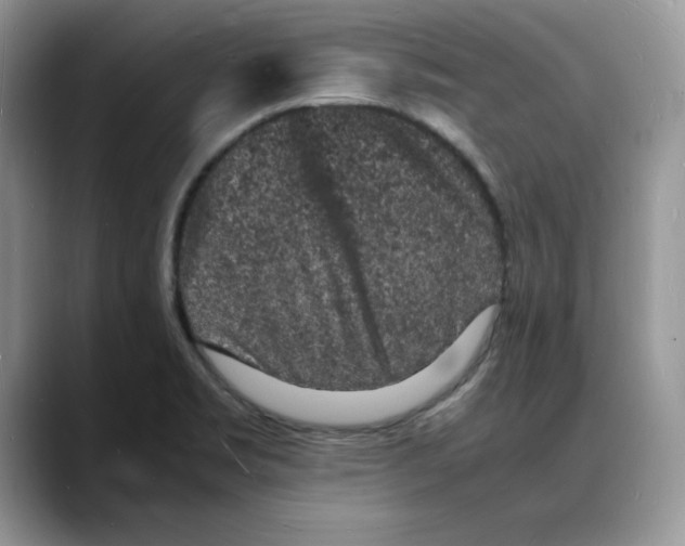 X0000088031469200706081451