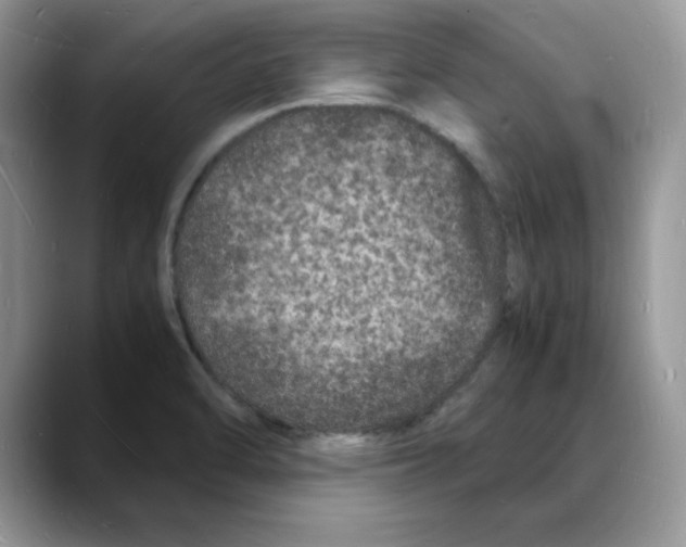 X0000088031470200706081451