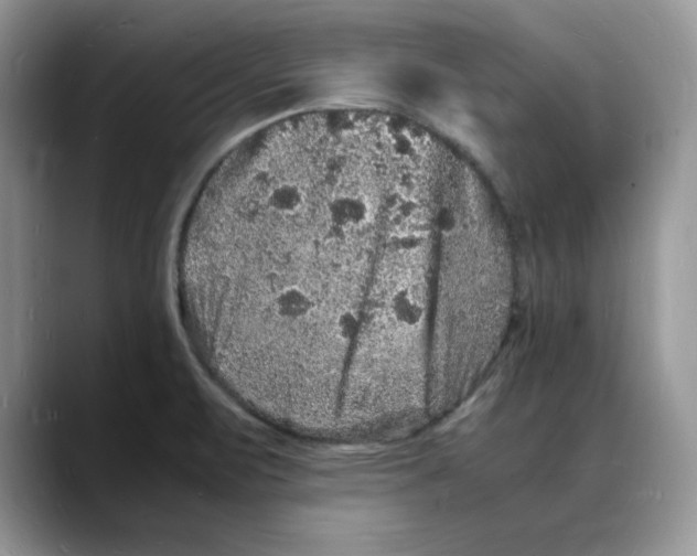 X0000088031471200706081451