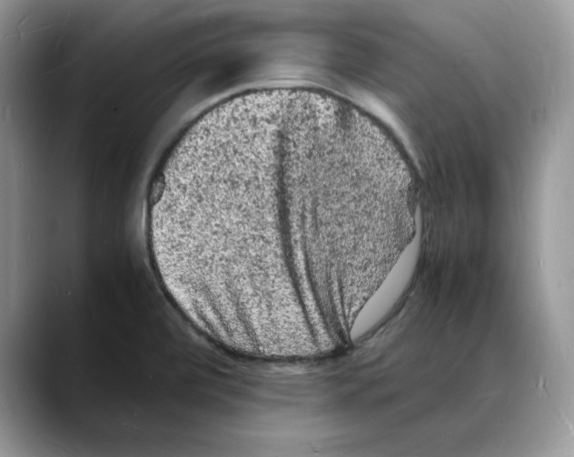 X0000088031472200706081451