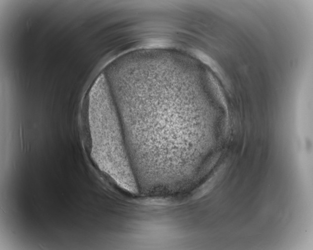 X0000088031473200706081451