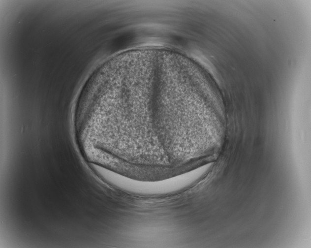 X0000088031475200706081451