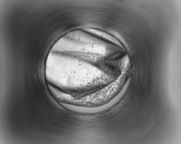 X0000088031476200706081451