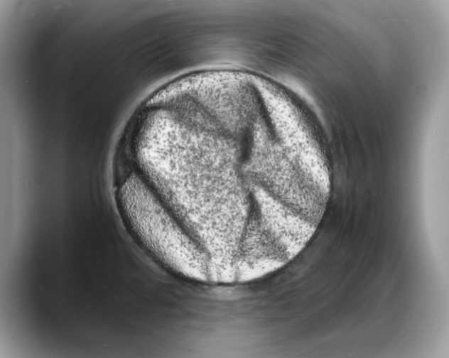 X0000088031480200706081451