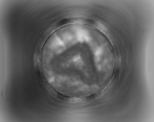 X0000088031481200706081451