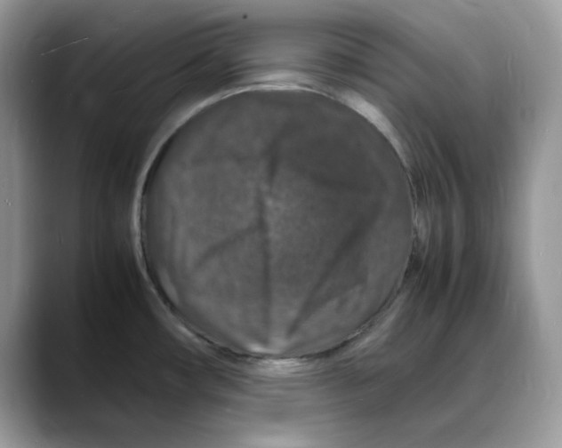 X0000088031482200706081451