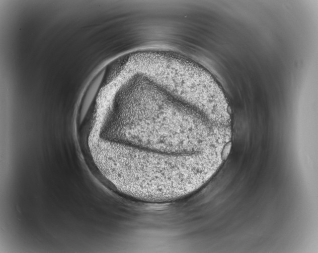 X0000088031484200706081451