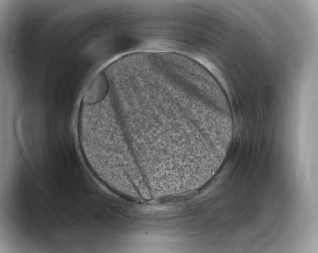 X0000088031486200706081451