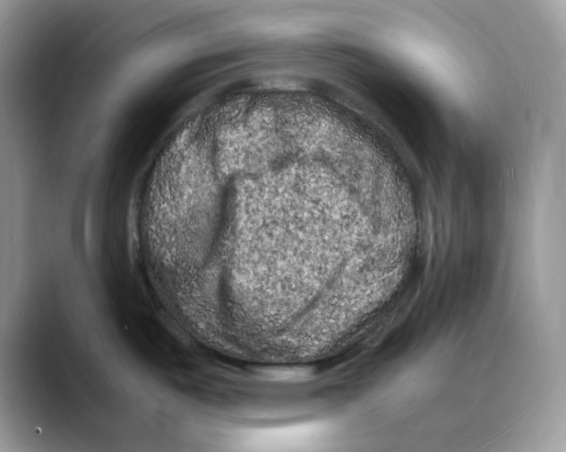 X0000088031487200706081451