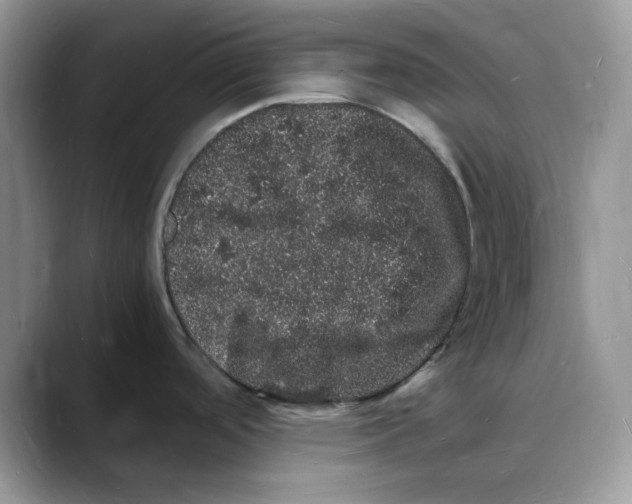 X0000088031488200706081451