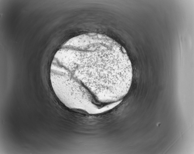 X0000088031489200706081451